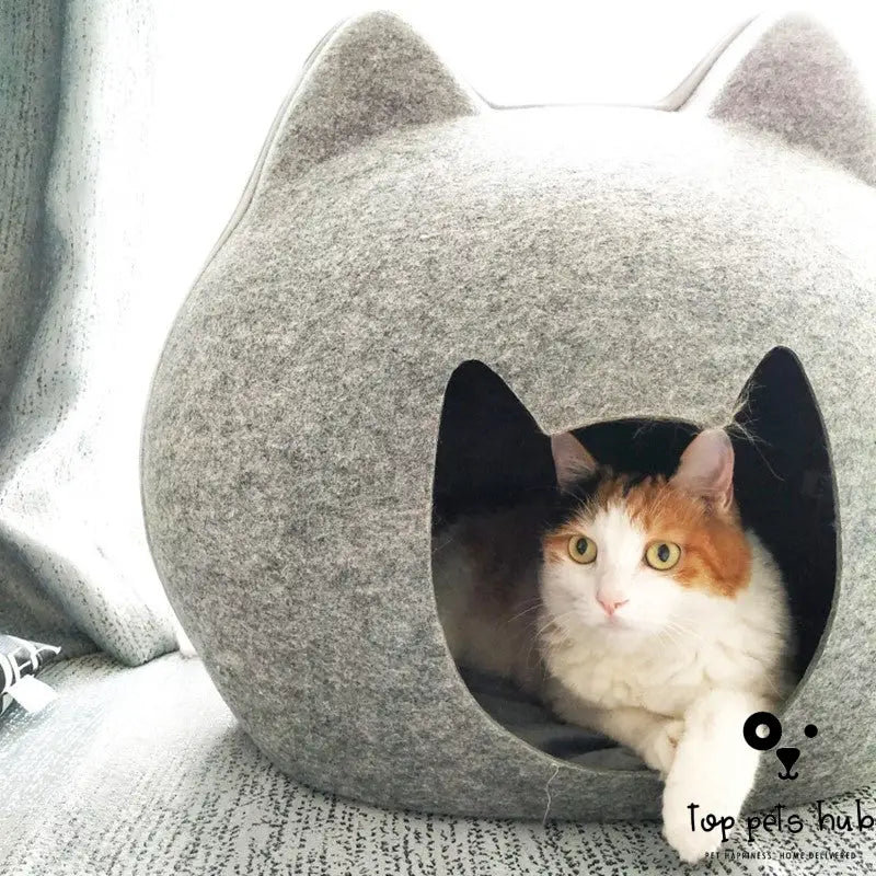 Enclosed Cat House