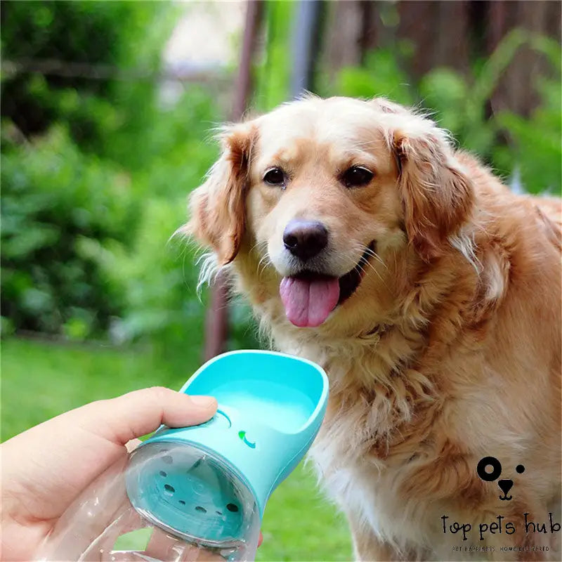 Portable Outdoor Water Bottle for Pets