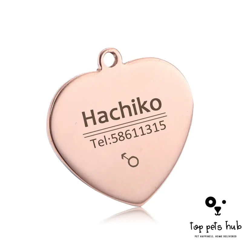 Personalized Titanium Steel Pet Tag