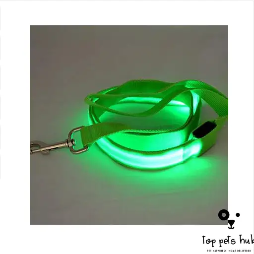 LED Pet Leash