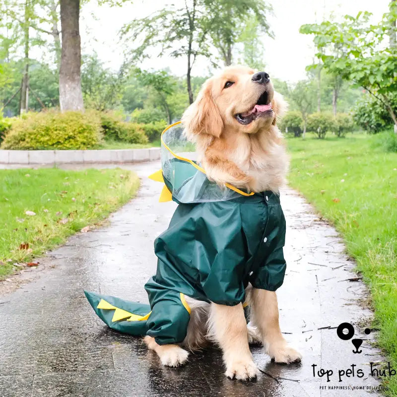 All-in-One Pet Raincoat