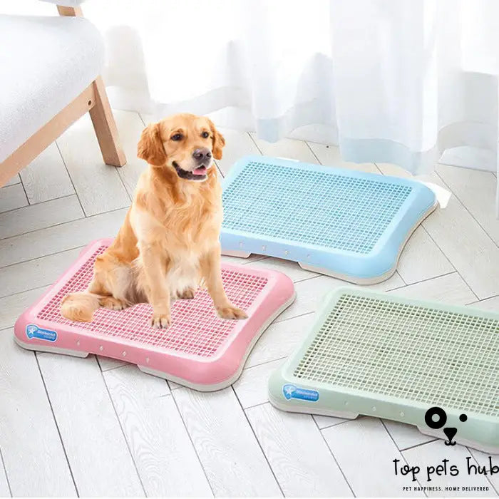 Indoor Puppy Dog Potty Tray