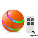 SmartyPaws Intelligent Cat Wicked Ball Toy