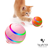 SmartyPaws Intelligent Cat Wicked Ball Toy