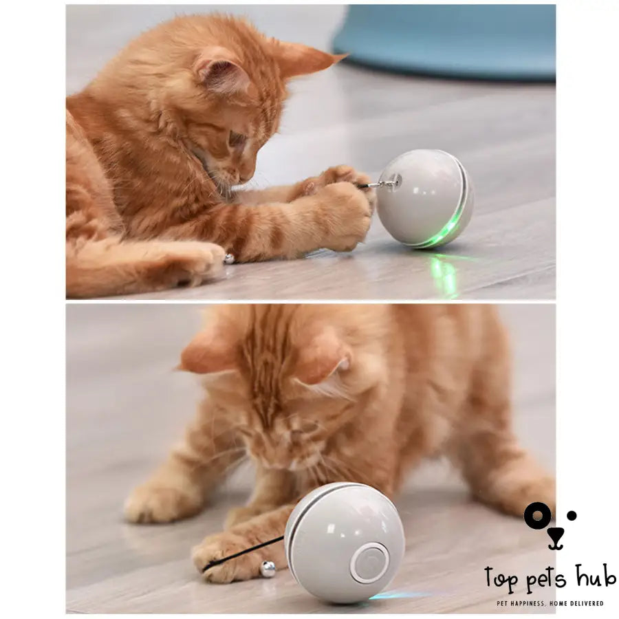 LED Laser Cat Ball