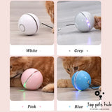 LED Laser Cat Ball