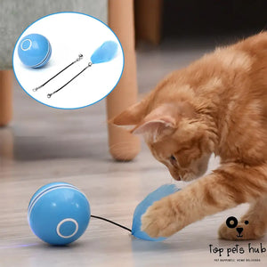 LED Laser Cat Ball