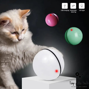 LED Laser Rolling Cat Toy