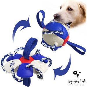 PlayFetch Interactive Dog Soccer Ball