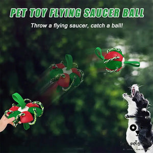 PlayFetch Interactive Dog Soccer Ball