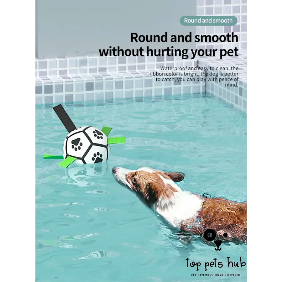 Tug-of-War Soccer Ball Dog Toy