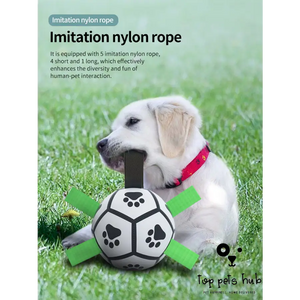 Tug-of-War Soccer Ball Dog Toy