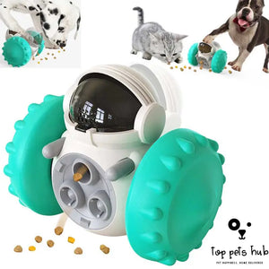 Interactive Slow Food Balance Car Pet Toy