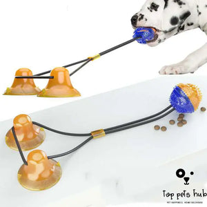 Suction Cup Interactive Pet Toys