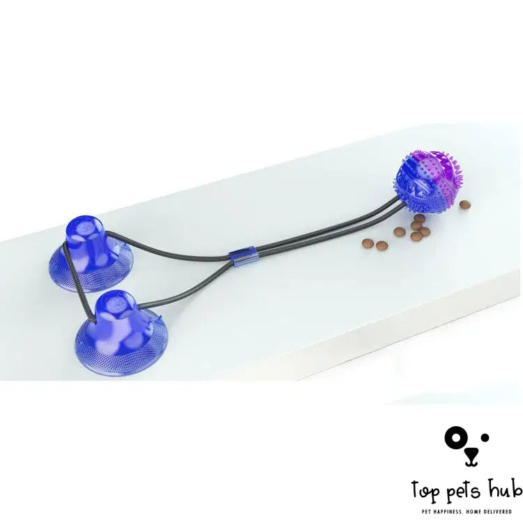 Suction Cup Interactive Pet Toys