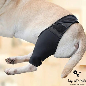 Protective Surgical Recovery Leggings for Pets