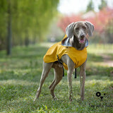 Portable Universal Raincoat for Medium and Large Pets