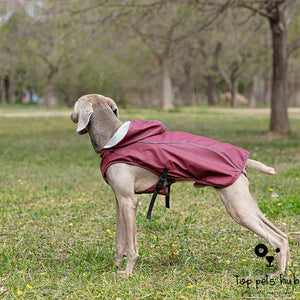 Portable Universal Raincoat for Medium and Large Pets