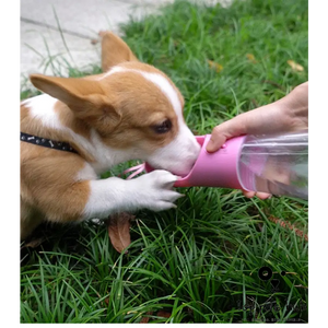 Portable Dog Water Bottle