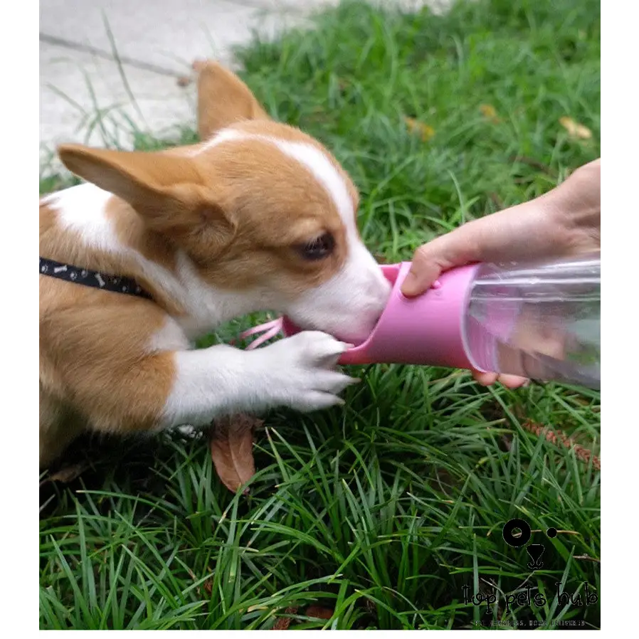 Portable Dog Water Bottle