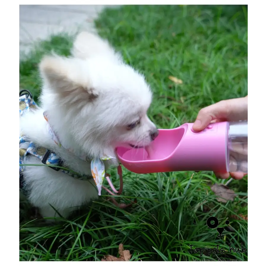 Portable Dog Water Bottle