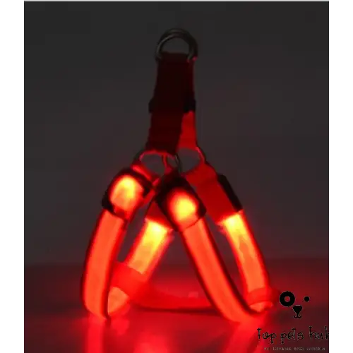 LED Luminous Dog Leash