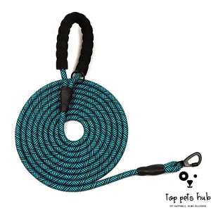 WalkEasy 4.5M Dog Leash