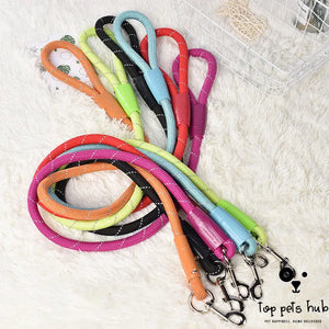 Small Dog Leash with P Chain