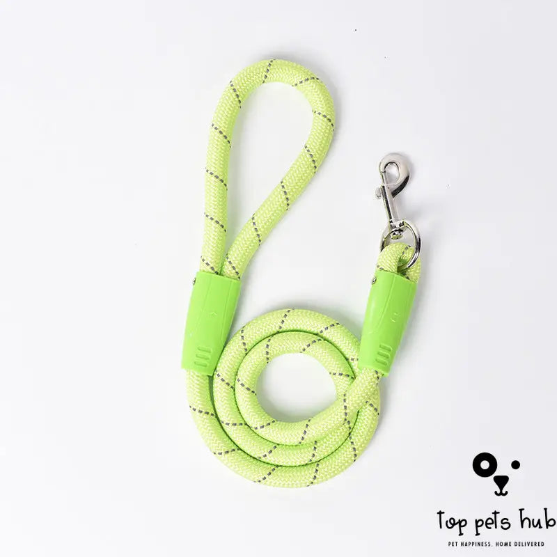 Small Dog Leash with P Chain