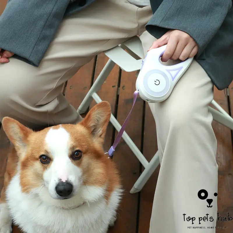 Retractable Leash with Collar