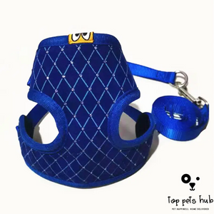 Pet Sling and Leash Combo