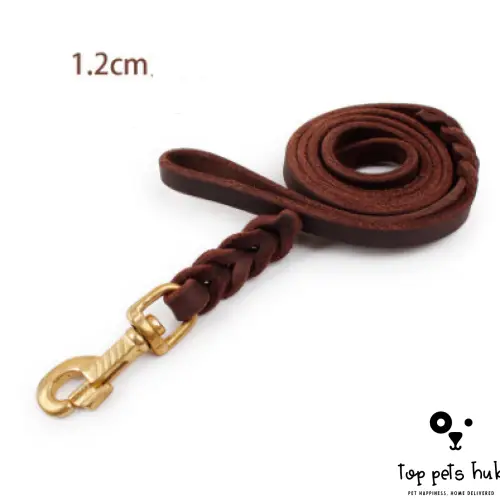 First Layer Leather Dog Leash for Large Dogs