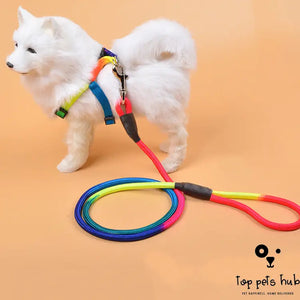 Nylon Hand Holding Dog Rope