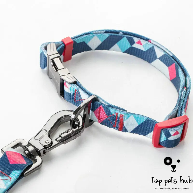 Dog Leash for Small and Medium Dogs