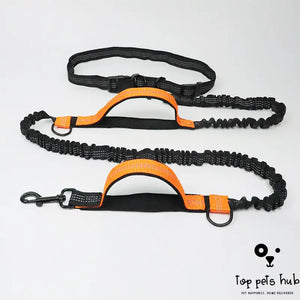 SafeStride Reflective Multi-Function Dog Leash