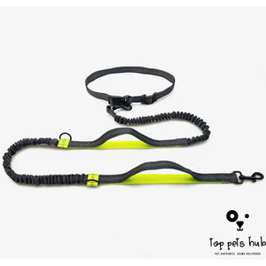 SafeStride Reflective Multi-Function Dog Leash