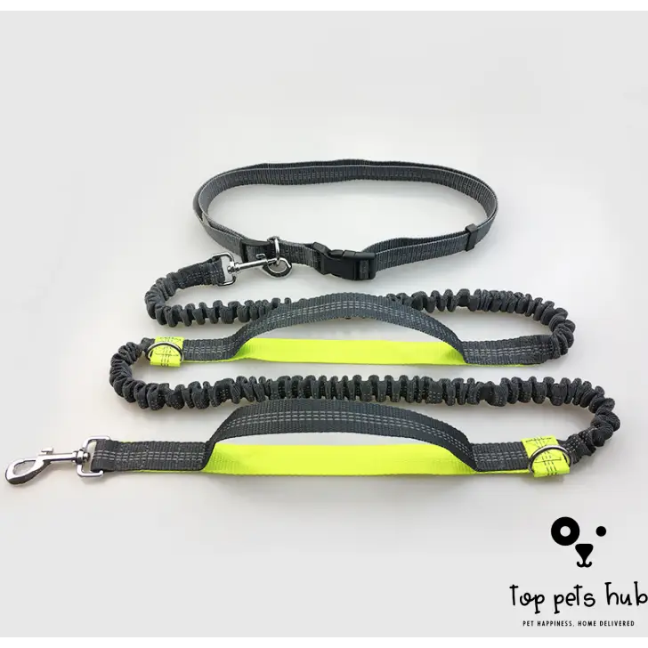 SafeStride Reflective Multi-Function Dog Leash