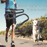 SafeStride Reflective Multi-Function Dog Leash