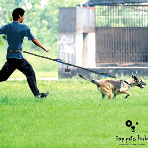 SafeStride Reflective Multi-Function Dog Leash