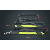 SafeStride Reflective Multi-Function Dog Leash