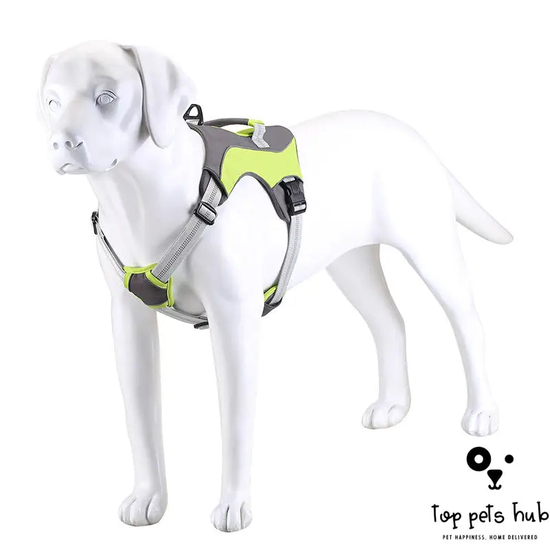 Reflective Chest Strap Dog Leash - Pet Supplies for Walking
