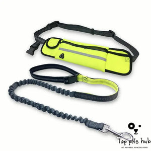 Hands-Free Dog Leash