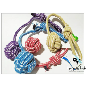 Knitted Dog Leash Toys