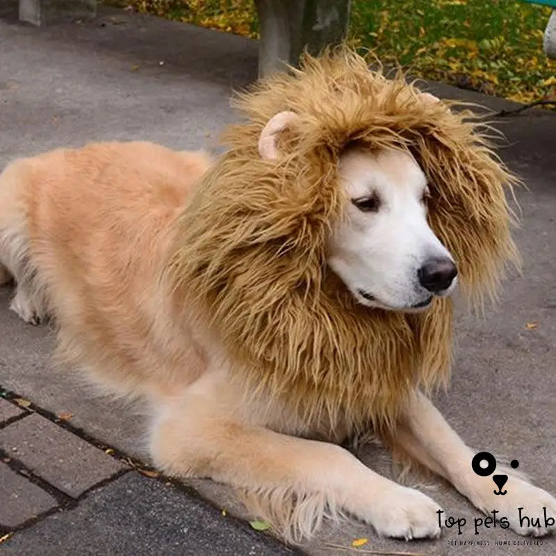 Adorable Lion Mane Pet Costume for Cosplay