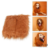 Adorable Lion Mane Pet Costume for Cosplay