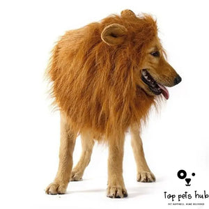 Adorable Lion Mane Pet Costume for Cosplay