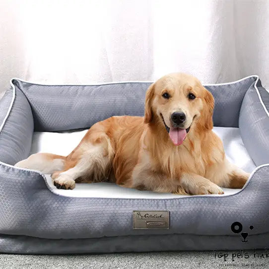 Removable Pet Litter Bed