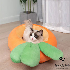 Soft and Comfortable Carrot Cat Litter