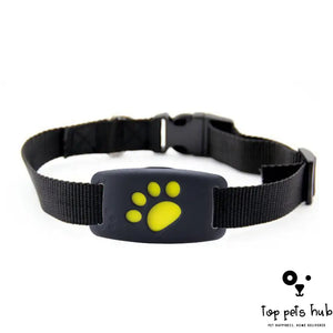 Pet GPS Tracker