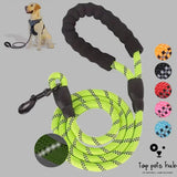 Luminous Pet Dog Leash Chain